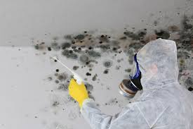 New Franklin, OH Mold Remediation Company